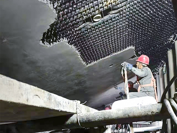 焦作垃圾焚燒爐項(xiàng)目